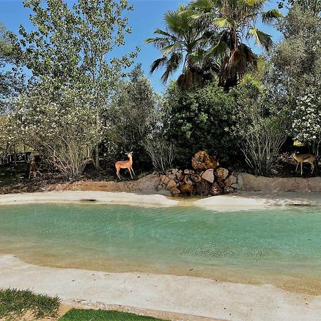 Parque Da Mina Hotel Monchique Eksteriør billede