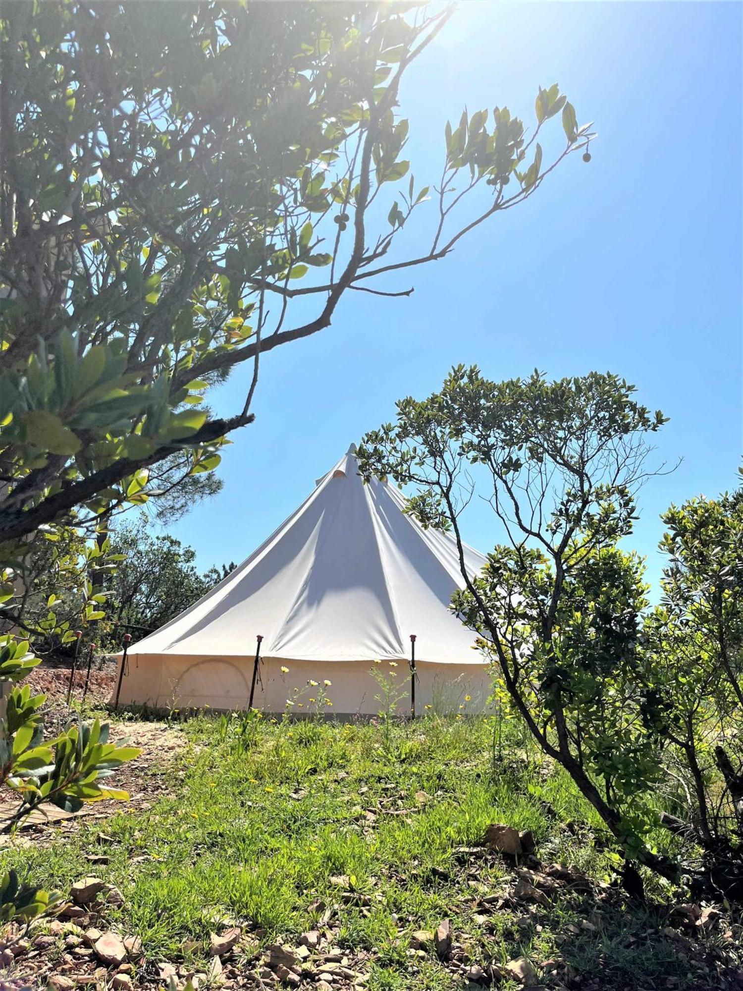 Parque Da Mina Hotel Monchique Værelse billede